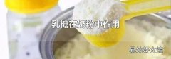 乳糖在奶粉中作用
