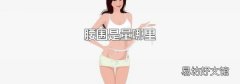 腰围是量哪里