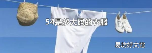 54是多大码的衣服