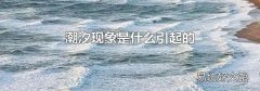 潮汐现象是什么引起的