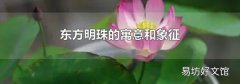 东方明珠的寓意和象征