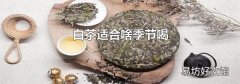 白茶适合啥季节喝