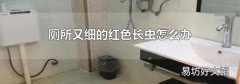 厕所又细的红色长虫怎么办