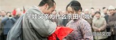 黑娃父亲为什么杀田小娥