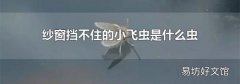 纱窗挡不住的小飞虫是什么虫