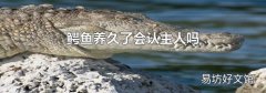 鳄鱼养久了会认主人吗