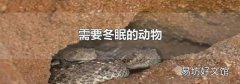 需要冬眠的动物
