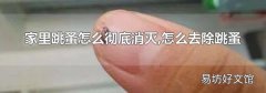 家里跳蚤怎么彻底消灭,怎么去除跳蚤