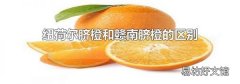 纽荷尔脐橙和赣南脐橙的区别