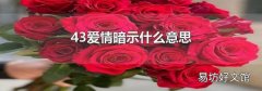 43爱情暗示什么意思