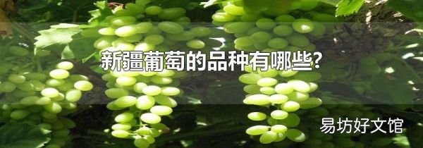 新疆葡萄的品种有哪些?