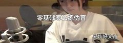 零基础怎么练伪音