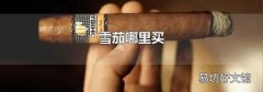 雪茄哪里买
