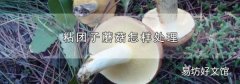 粘团子蘑菇怎样处理