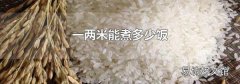 一两米能煮多少饭