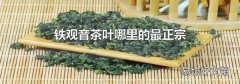 铁观音茶叶哪里的最正宗