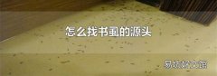 怎么找书虱的源头