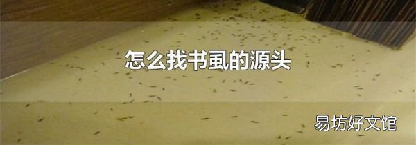 怎么找书虱的源头