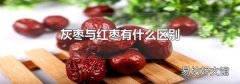 灰枣与红枣有什么区别