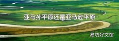 亚马孙平原还是亚马逊平原