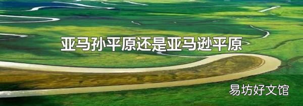 亚马孙平原还是亚马逊平原