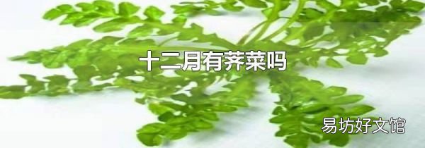 十二月有荠菜吗