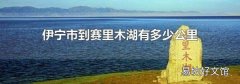 伊宁市到赛里木湖有多少公里