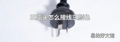三插头怎么接线三颜色