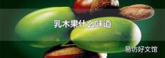 乳木果什么味道