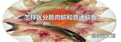 怎样区分脆肉鲩和普通鲩鱼