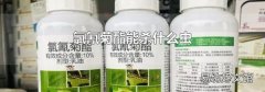 氯氰菊酯能殺什么蟲