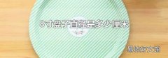 8寸盘子直径是多少厘米