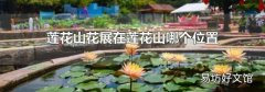 莲花山花展在莲花山哪个位置