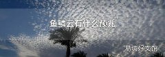 鱼鳞云有什么预兆