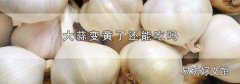 大蒜变黄了还能吃吗