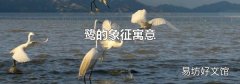 鹭的象征寓意