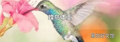 蜂鸟体重