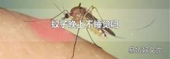 蚊子晚上不睡觉吗