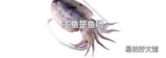 墨鱼是鱼吗