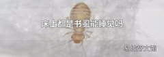 床上都是书虱能睡觉吗