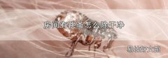 房间有跳蚤怎么除干净