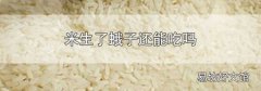 米生了蛾子还能吃吗