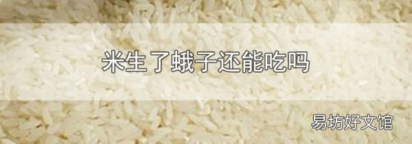 米生了蛾子还能吃吗