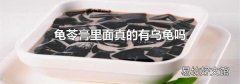 龟苓膏里面真的有乌龟吗