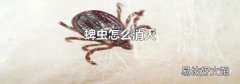 蜱蟲怎么消滅