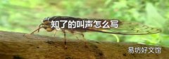知了的叫聲怎么寫