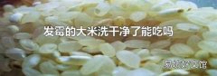 發(fā)霉的大米洗干凈了能吃嗎