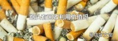 煙頭有回收利用價值嗎
