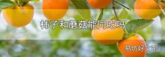 柿子和蘑菇能同吃吗