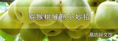 猕猴桃催熟小妙招